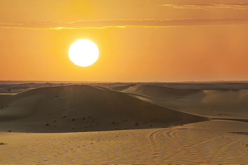 The desert near Liwa, Abu Dhabi, United Arab Emirates, Middle East