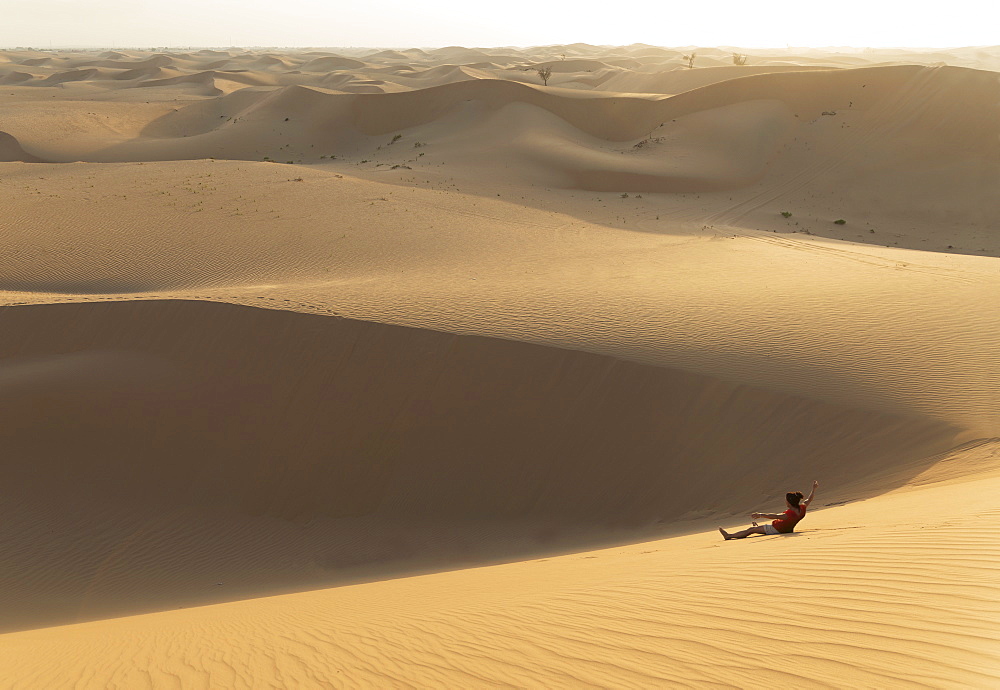 The desert near Liwa, Abu Dhabi, United Arab Emirates, Middle East