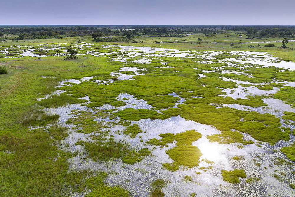 Okavango Delta, Botswana, Africa