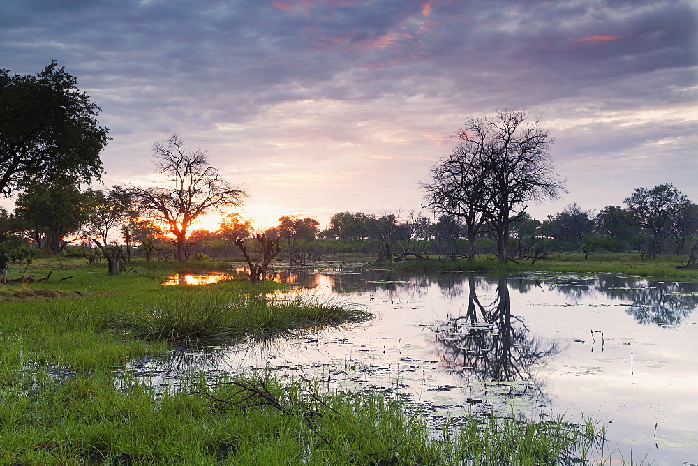 Okavango Delta, Botswana, Africa