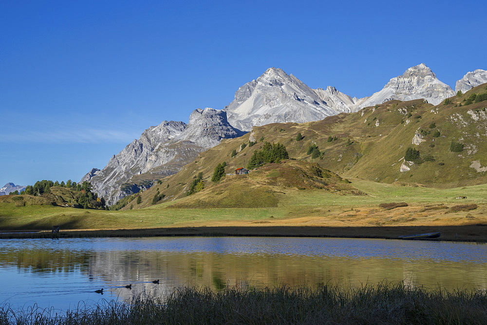 Lai Da Vons, small lake in the Alps, Graubunden, Swiss Alps, Switzerland, Europe