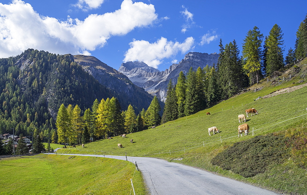 Road to Albula Pass, Graubunden, Swiss Alps, Switzerland, Europe