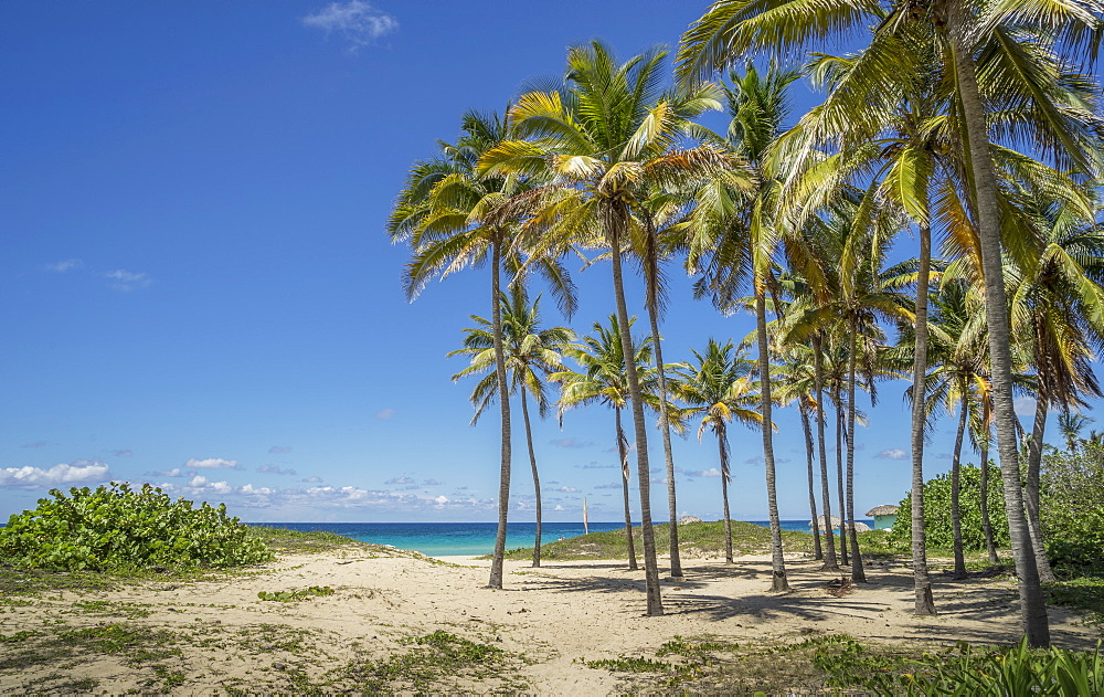 Playa De L'Este, Havana, Cuba, West Indies, Caribbean, Central America