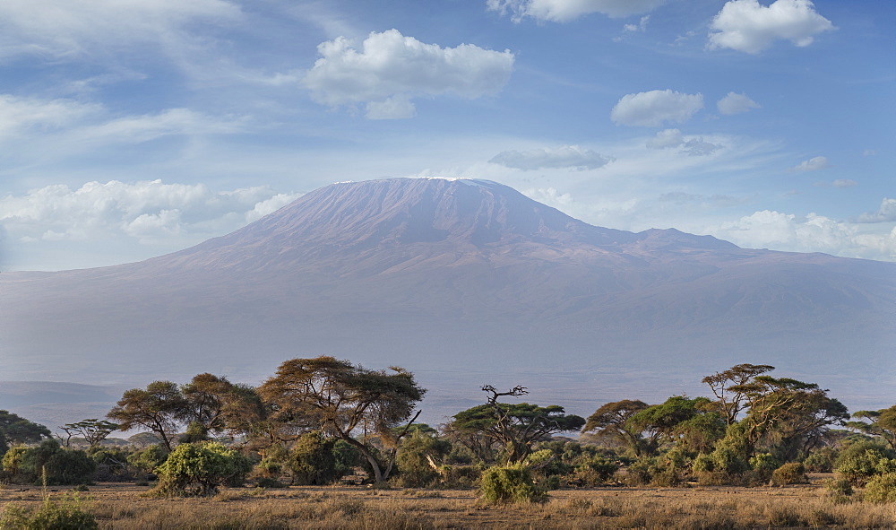 Mount Kilimanjaro, UNESCO World Heritage Site, seen from Amboseli National Park, Kenya, East Africa, Africa