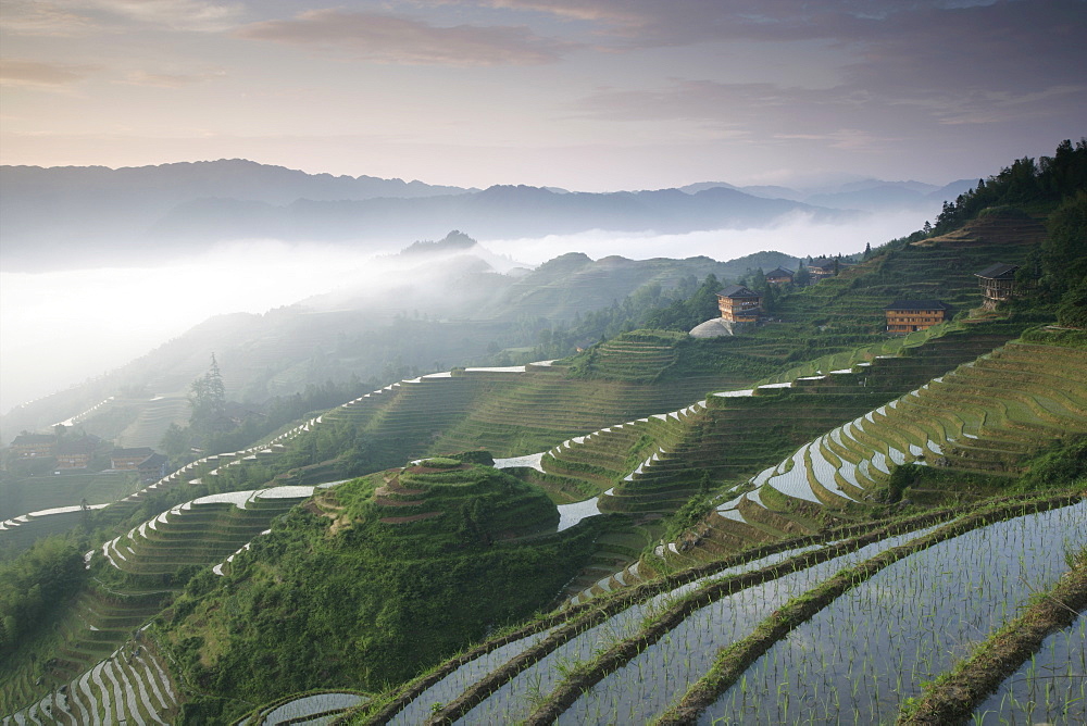 Sunrise, Longsheng terraced ricefields, Guangxi Province, China, Asia