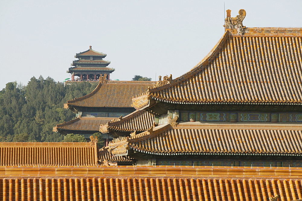 The Forbidden City, Beijing (Peking), China, Asia