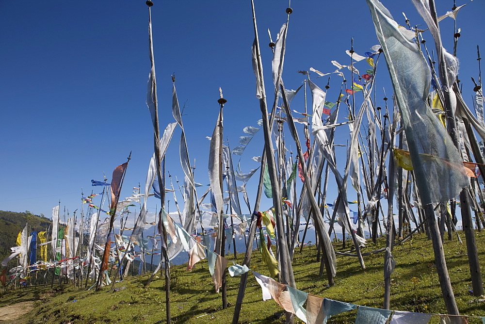 Buddhist prayer flags on Cheli La Pass, 3810m, from Paro to Haa Valley, Paro, Bhutan, Asia