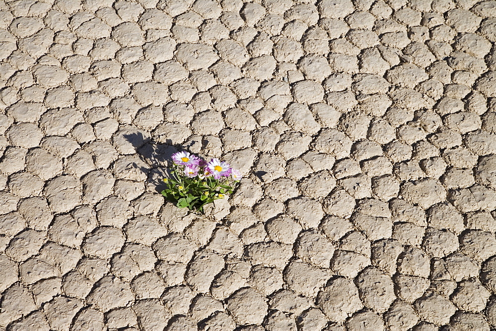 Racetrack Point, Death Valley National Park, California, United States of America, North America