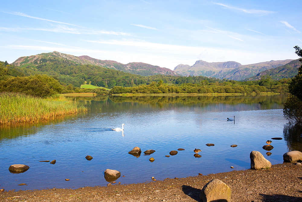 River Brathay, Elter Water, Lake District, UNESCO World Heritage Site, Cumbria, England, United Kingdom, Europe