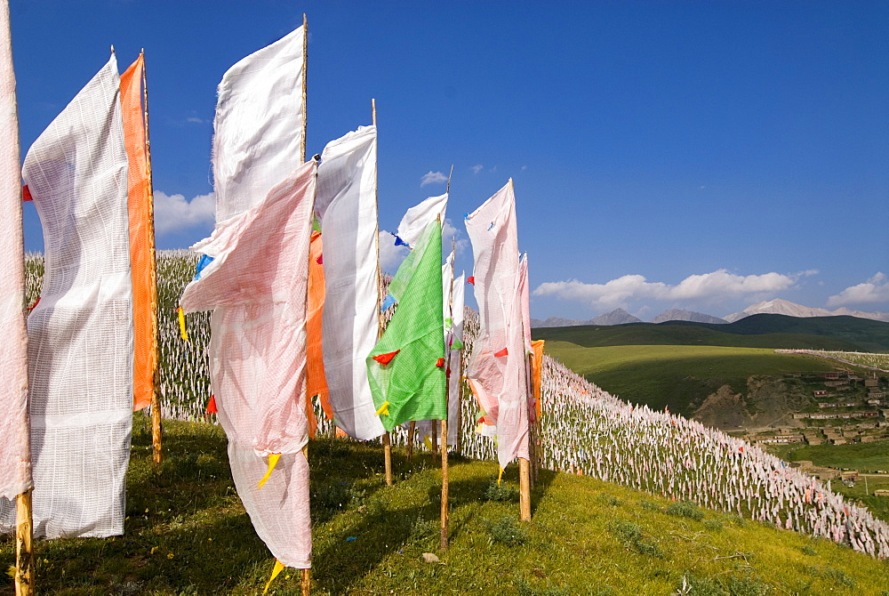 Prayer flags on hillside, Tagong Grasslands, Sichuan, China, Asia