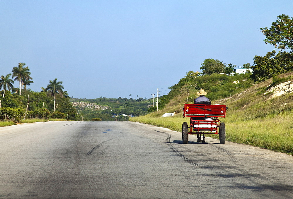 Man driving horse and cart on a wide deserted country road, Cuba, West Indies, Central America