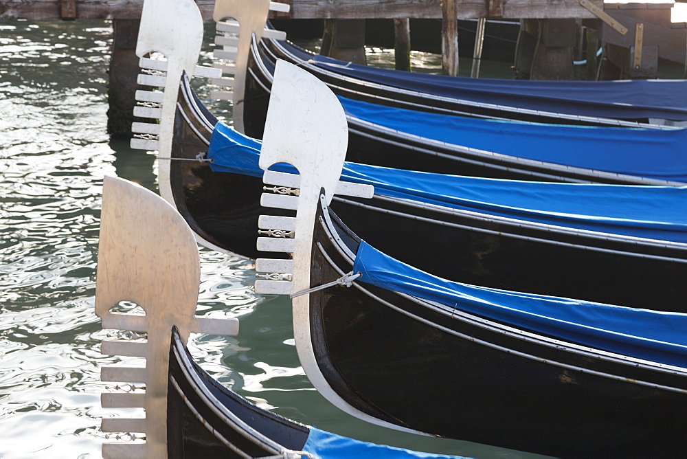 Gondolas moored in St. Mark's Basin, Venice, Veneto, Italy, Europe