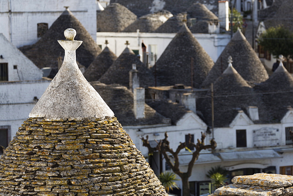 Traditional trullos (trulli) in Alberobello, UNESCO World Heritage Site, Puglia, Italy, Europe