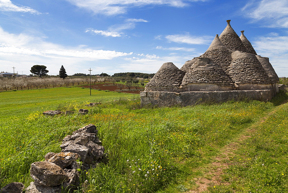 Traditional trullos (trulli) in the countryside near Alberobello, Puglia, Italy, Europe