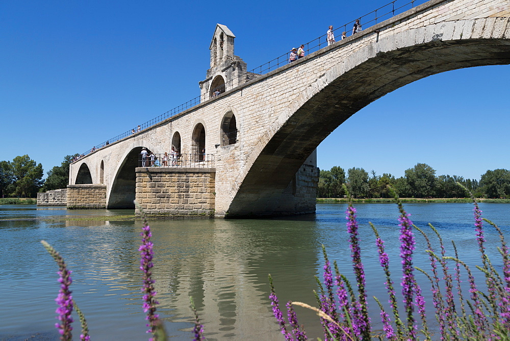 Pont St. Benezet, bridge on the River Rhone in the historic city of Avignon, UNESCO World Heritage Site, Vaucluse, Provence, France, Europe