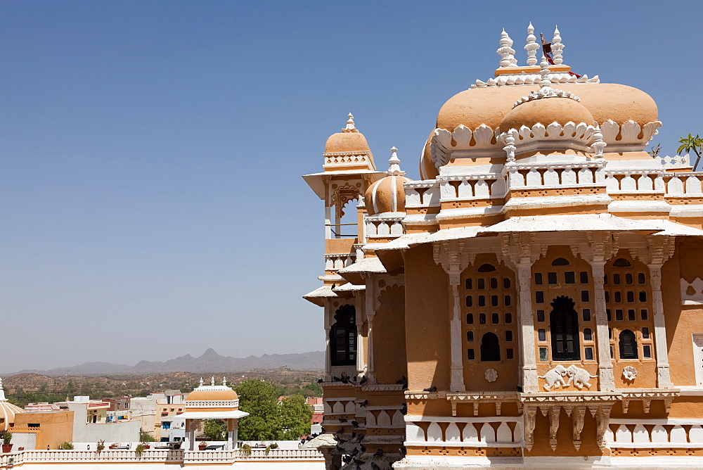 Domes of Deogarh Mahal Palace hotel, Deogarh, Rajasthan, India, Asia