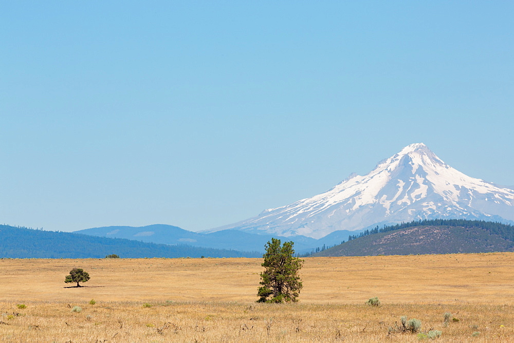 Central Oregon's High Desert with Mount Hood, part of the Cascade Range, Pacific Northwest region, Oregon, United States of America, North America