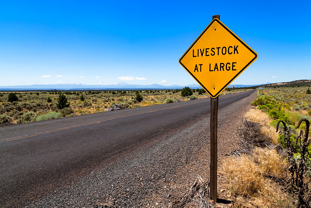 Empty road in central Oregon's High Desert with Livestock at Large sign and the Three Sisters peaks in the distance, Oregon, United States of America, North America