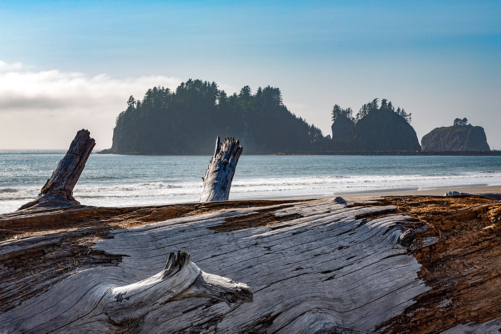 James Island with driftwood on the beach at La Push on the Pacific Northwest coast, Washington State, United States of America, North America