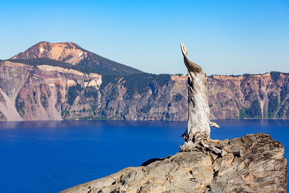 Lone tree trunk over Crater Lake, the deepest lake in the U.S.A., part of the Cascade Range, Oregon, United States of America, North America