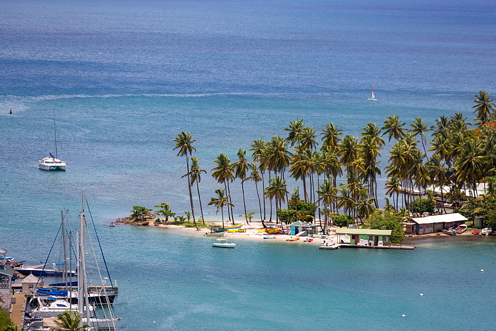 Tall palms on the small beach at Marigot Bay, St. Lucia, Windward Islands, West Indies Caribbean, Central America