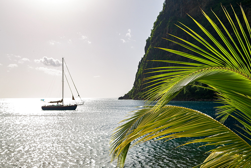 Yacht moored close to the base of Petit Piton, UNESCO World Heritage Site, near Sugar Beach with palm leaves in the foreground, St. Lucia, Windward Islands, West Indies Caribbean, Central America