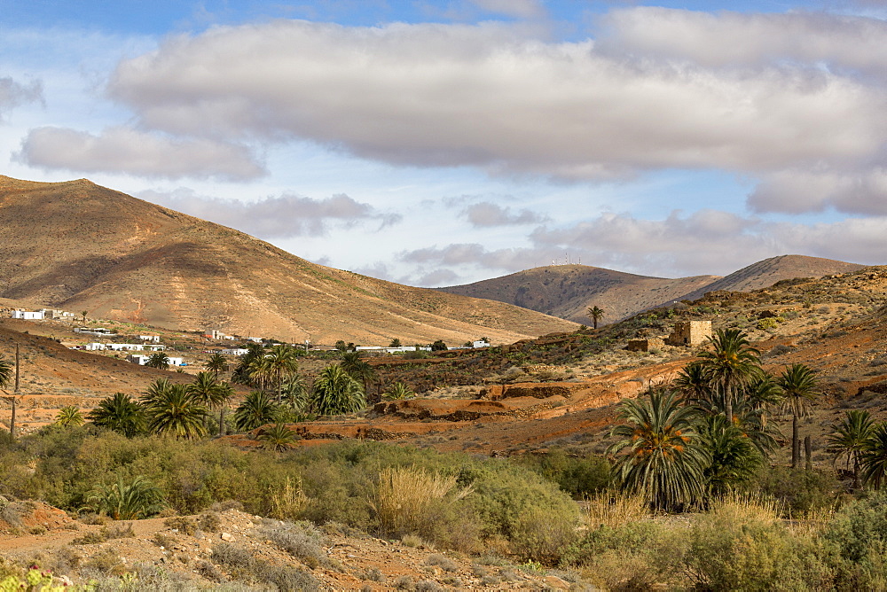 Barranco de las Penitas (Penitas Ravine) on the volcanic  island of Fuerteventura, Canary Islands, Spain, Europe