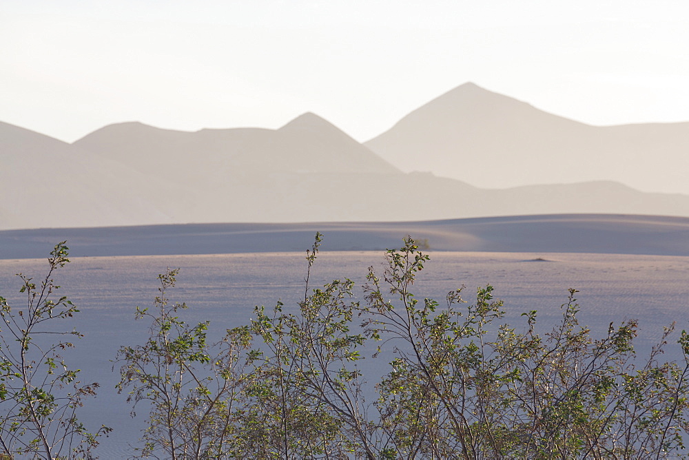 The dramatic Dunas de Corralejo in evening light on the volcanic island of Fuerteventura with mountains beyond, Fuerteventura, Canary Islands, Spain, Europe