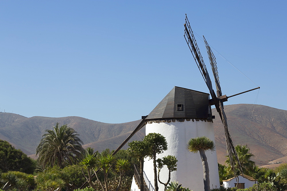 Windmill at the Museo del Queso Majorero near Antigua in Fuerteventura, Canary Islands, Spain, Atlantic, Europe