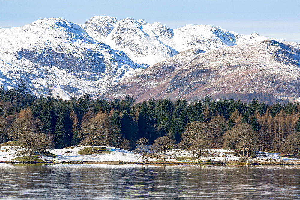 Looking towards the north end of Windermere near Ambleside, with rugged snow covered mountains including Helvellyn, Lake District National Park, UNESCO World Heritage Site, Cumbria, England, United Kingdom, Europe