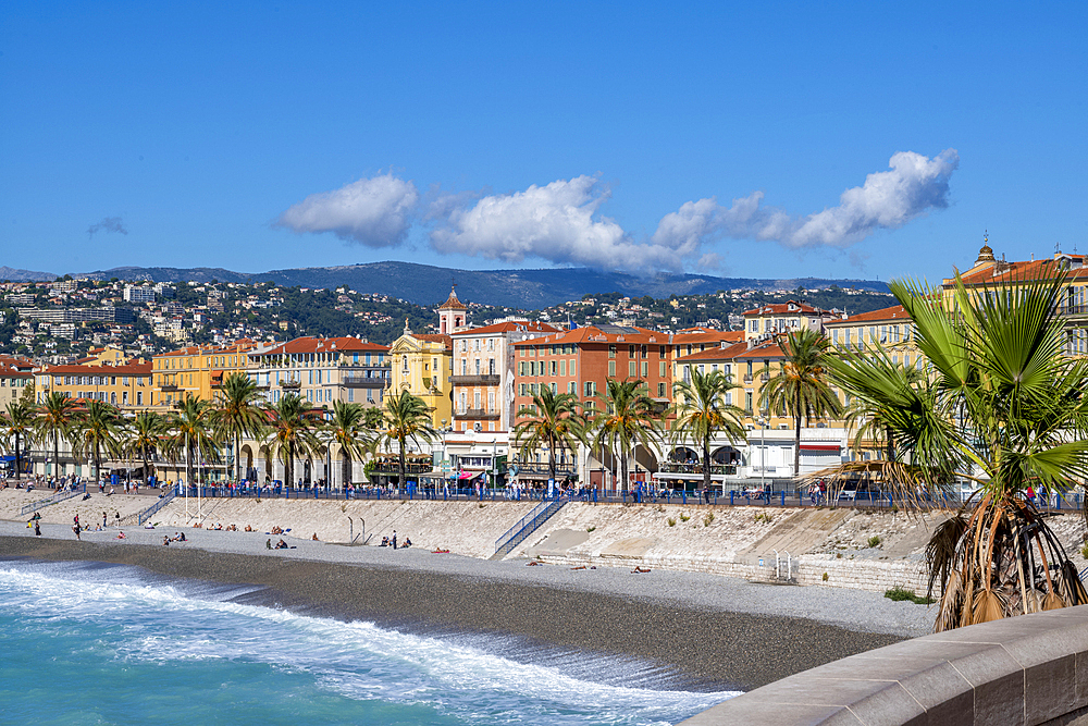 Palm tree with Promenade des Anglais in the distance, Nice, UNESCO, Alpes Maritimes, French Riviera, Provence, France