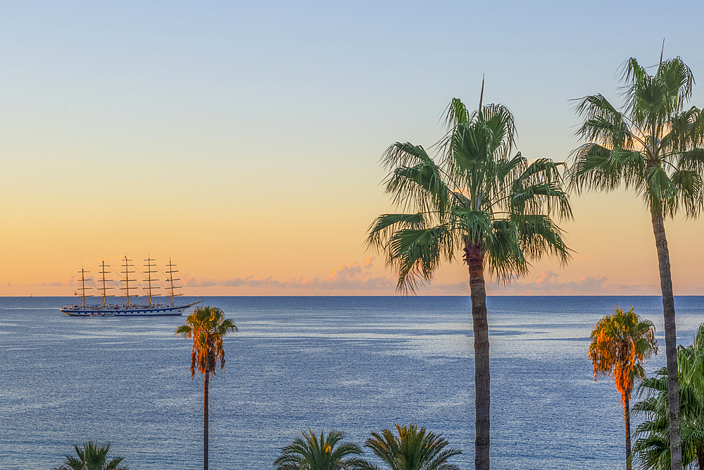 Sailing cruiser moored off coast with palm trees and Mediterranean seen from Le Suquet (old town), Cannes, Alpes-Maritimes, French Riviera, France