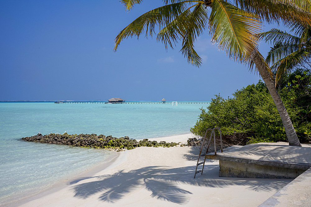 Palm tree and deck overlooking the crystal clear lagoon on an exotic Island in the Maldives. Indian Ocean.