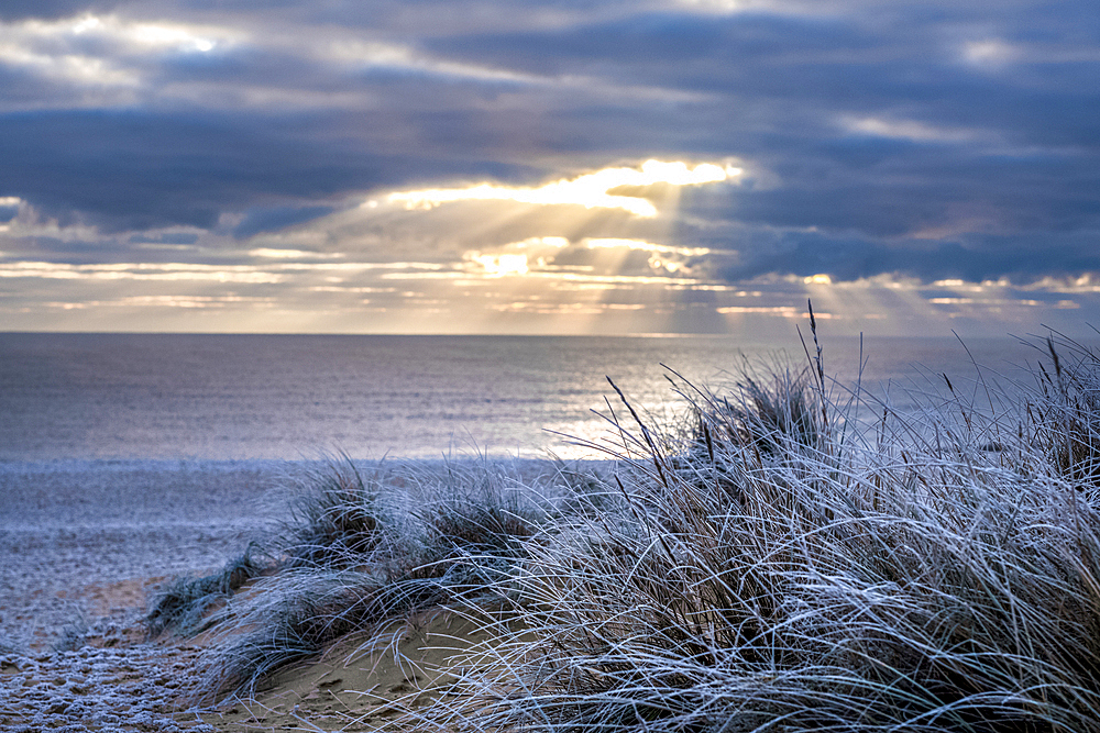 Early morning winter light on frosty sand dunes in Southwold in the county of Suffolk, United Kingdom