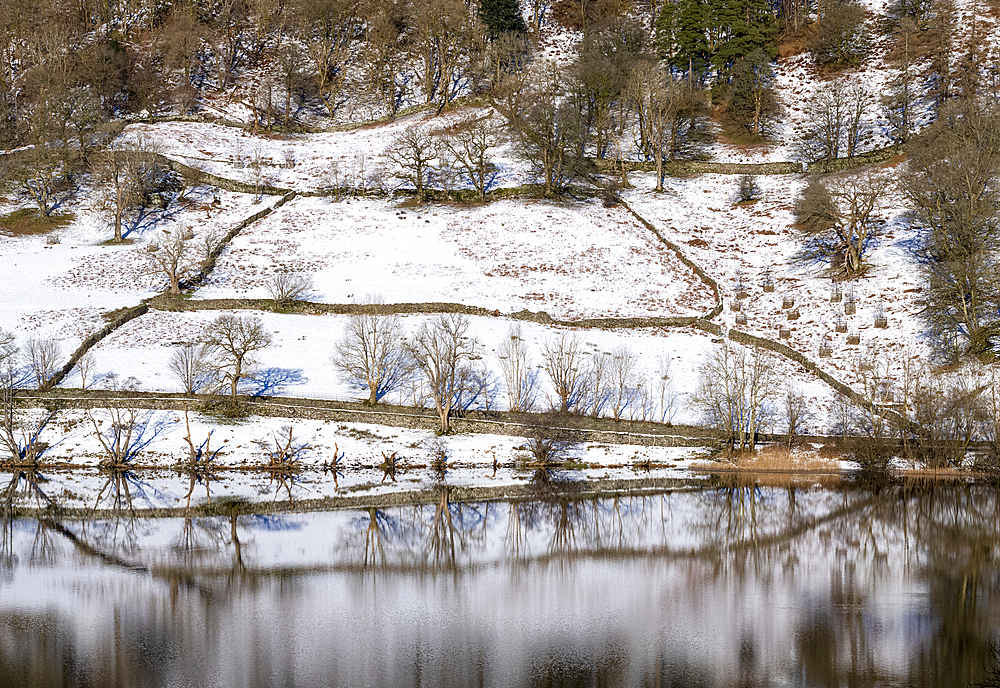 Reflections of snow covered hill at Rydal Water in the Lake District National Park, United Kingdom