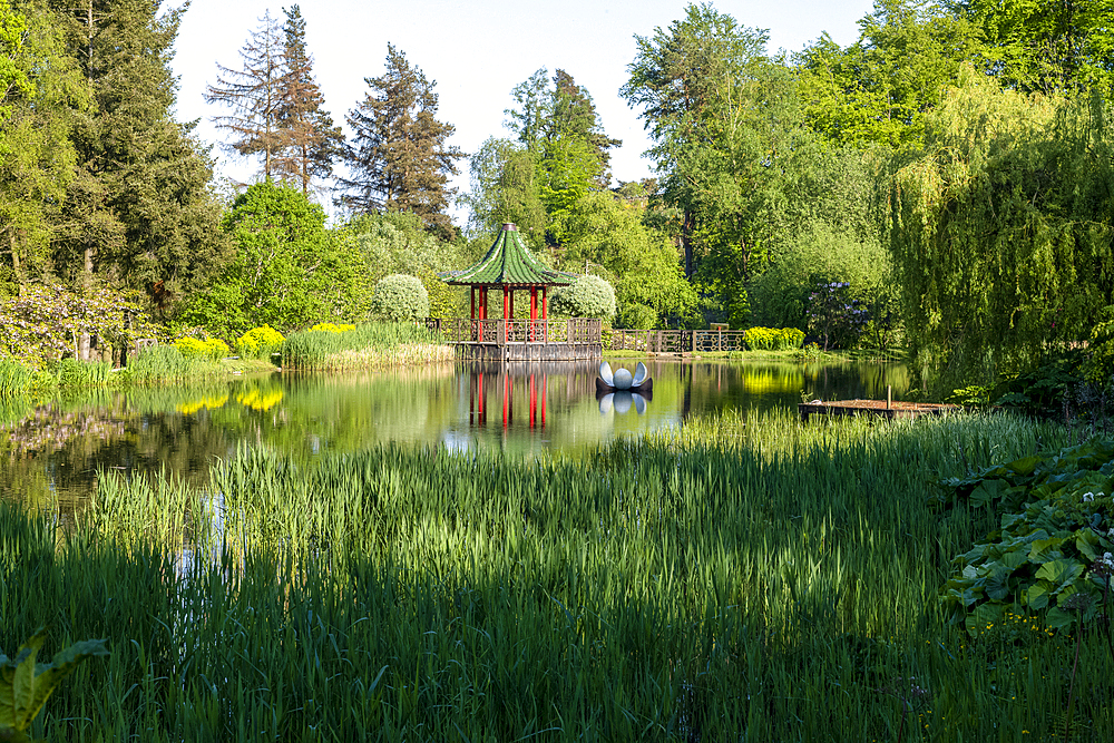 Lake and pavilion in the exotic Himalayan Gardens and Sculpture Park, Yorkshire, United Kingdom