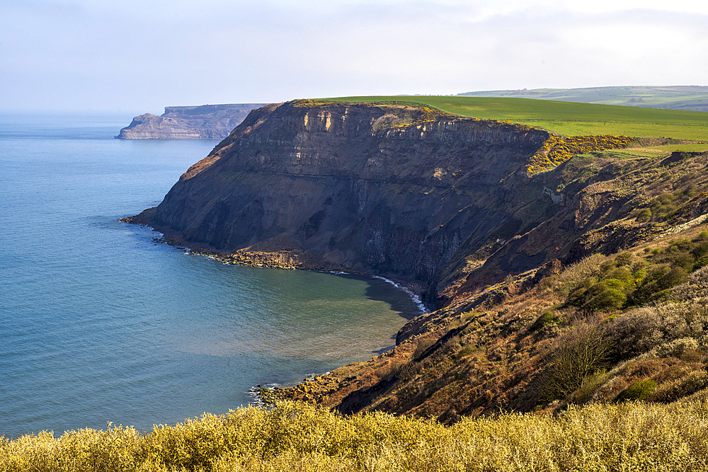 High cliffs on the coast near the small fishing village of Robins Hood Bay, Yorkshire, United Kingdom