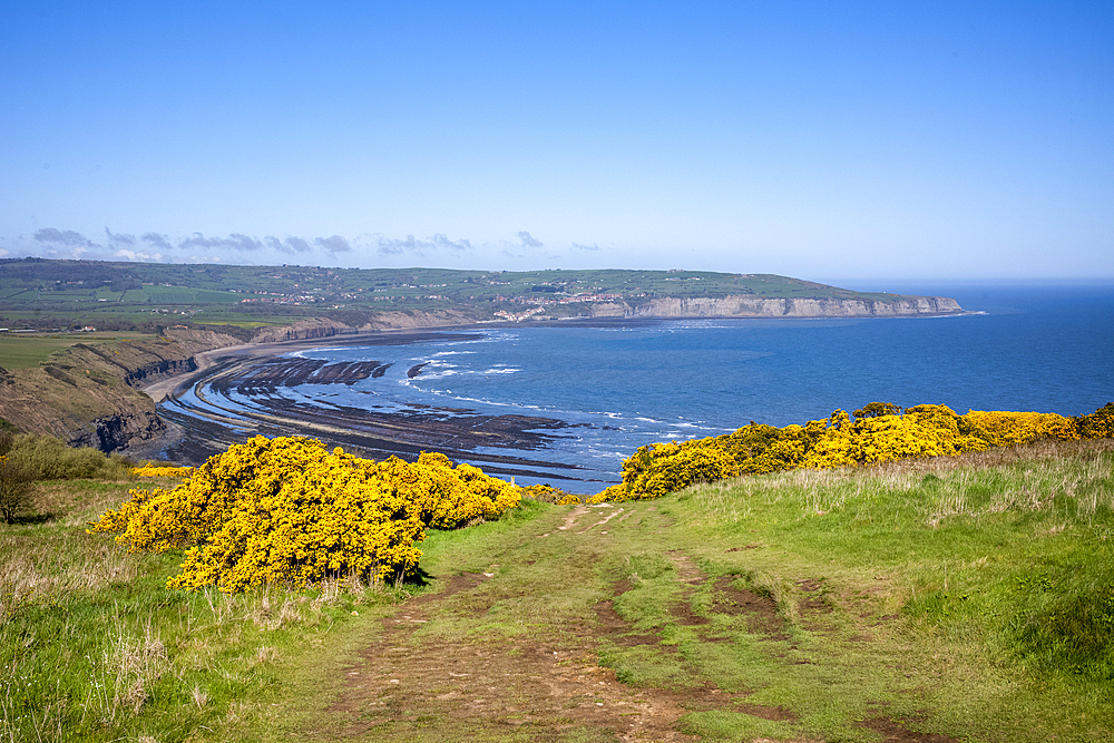 Ravenscar's rocky beach on the Yorkshire coast.