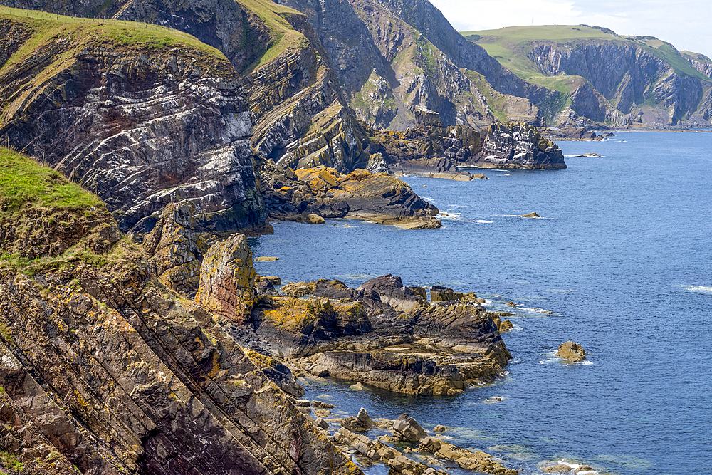 The coastline at St Abbs Head, National Nature Reserve, Eyemouth, Scotland, United Kingdom