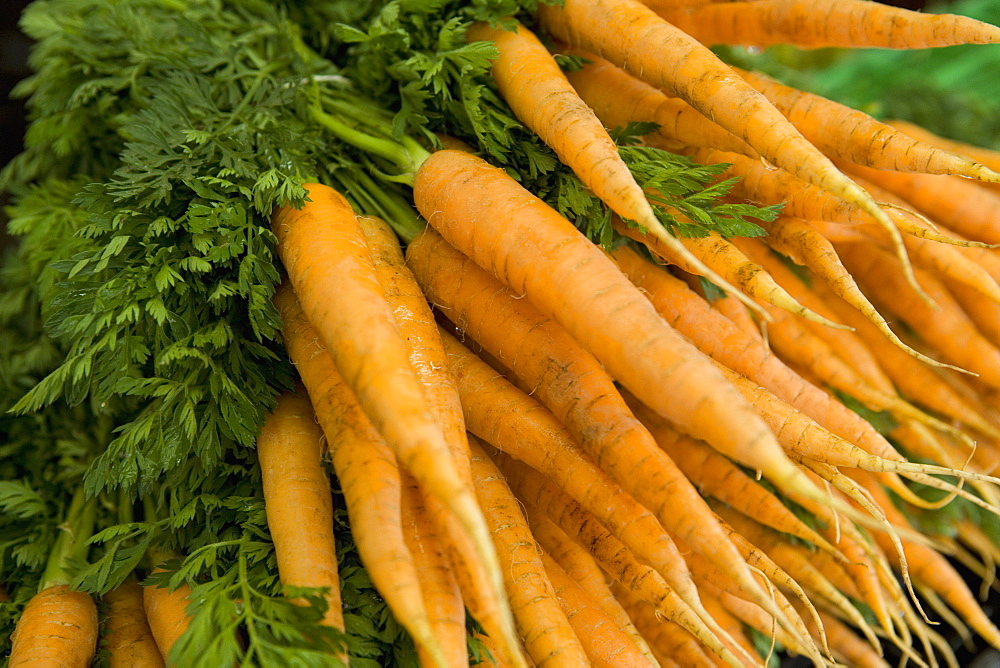 Carrots, market, Old Town, Prague, Czech Republic, Europe