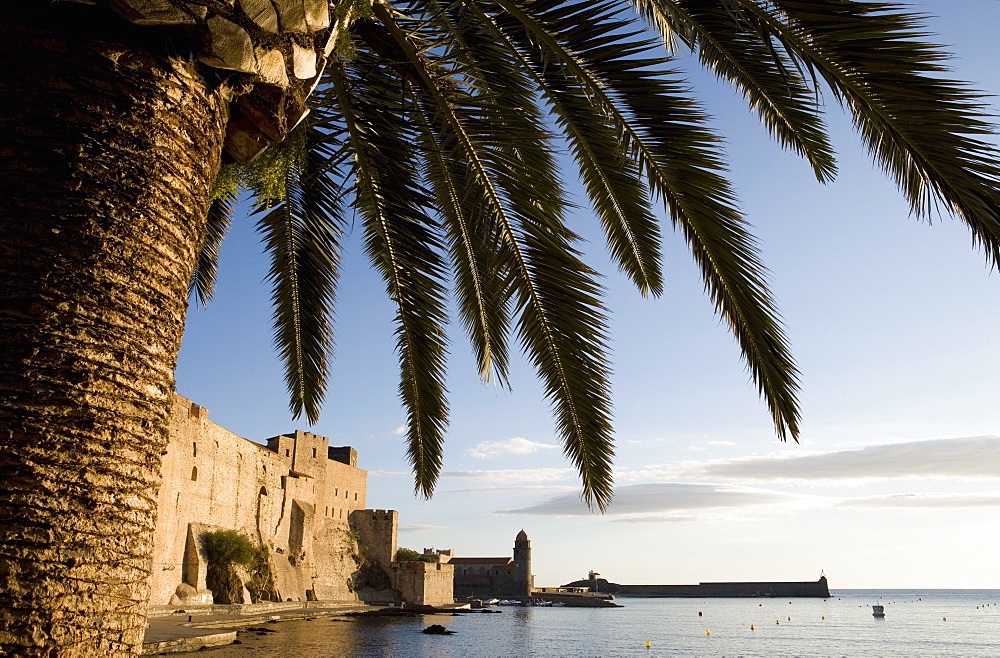 Morning light, Eglise Notre-Dame-des-Anges, Collioure, Pyrenees-Orientales, Languedoc, France, Europe