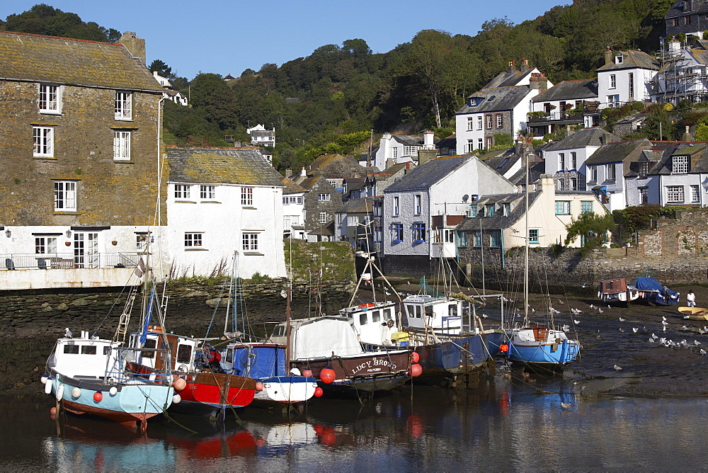 Polperro, Cornwall, England, United Kingdom, Europe