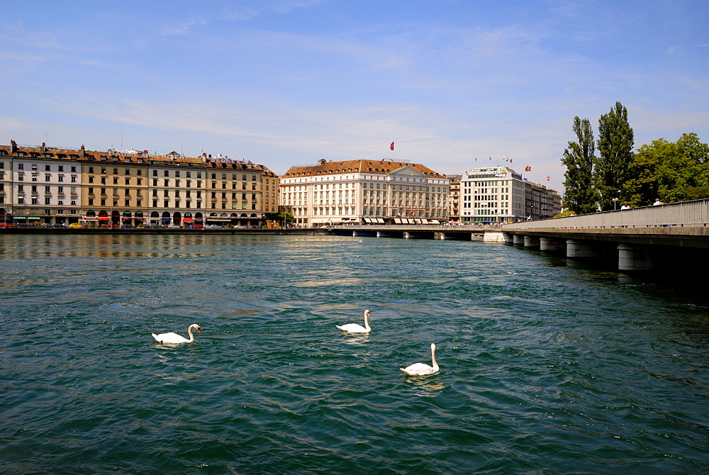 Buidings on the waterside, Geneva, Switzerland, Europe