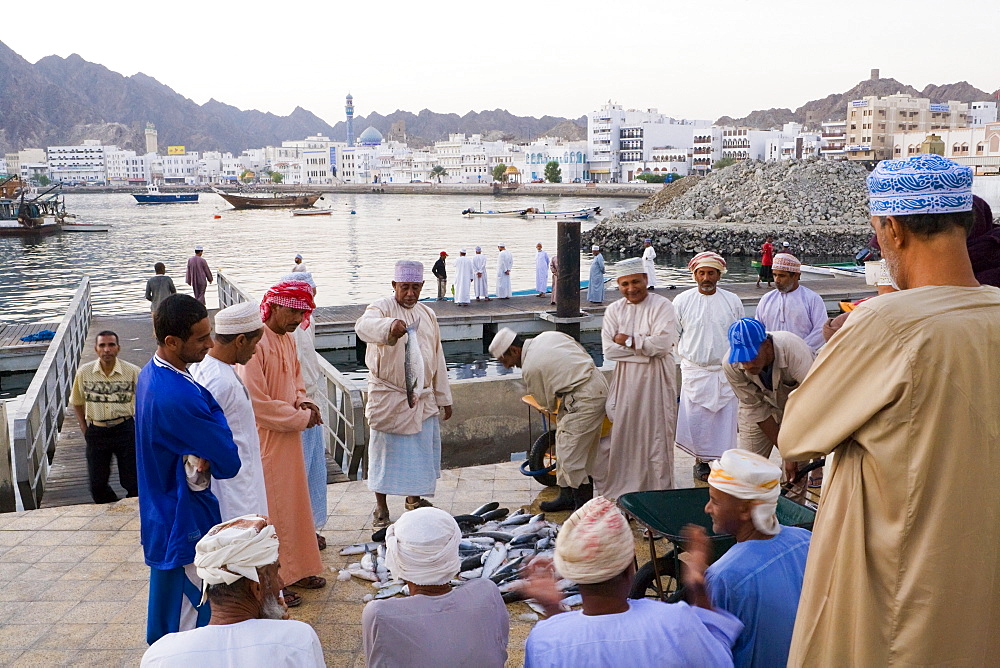 Morning fish market and city skyline, Mutrah, Muscat, Oman, Middle East