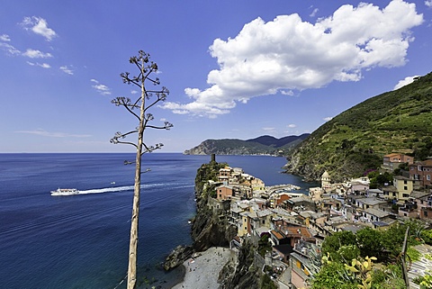 Vernazza, Cinque Terre, Liguria, Italy