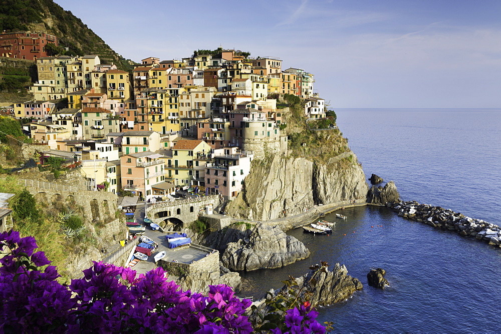 Manarola, Cinque Terre, UNESCO World Heritage Site, Liguria, Italy, Europe