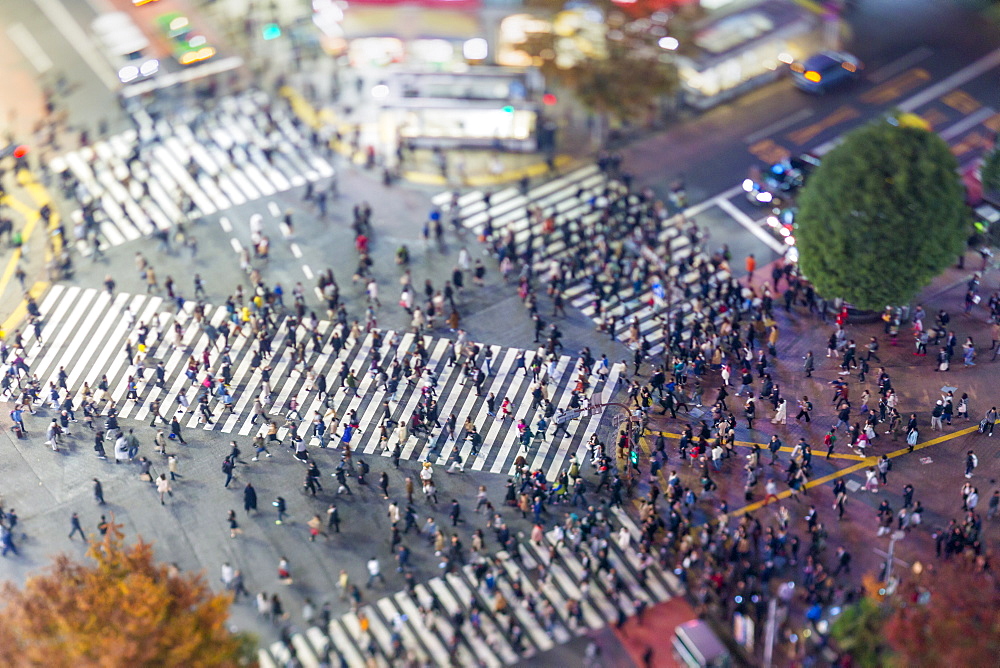 Shibuya Crossing, centre of Shibuya's fashionable shopping and entertainment district, Shibuya, Tokyo, Japan, Asia