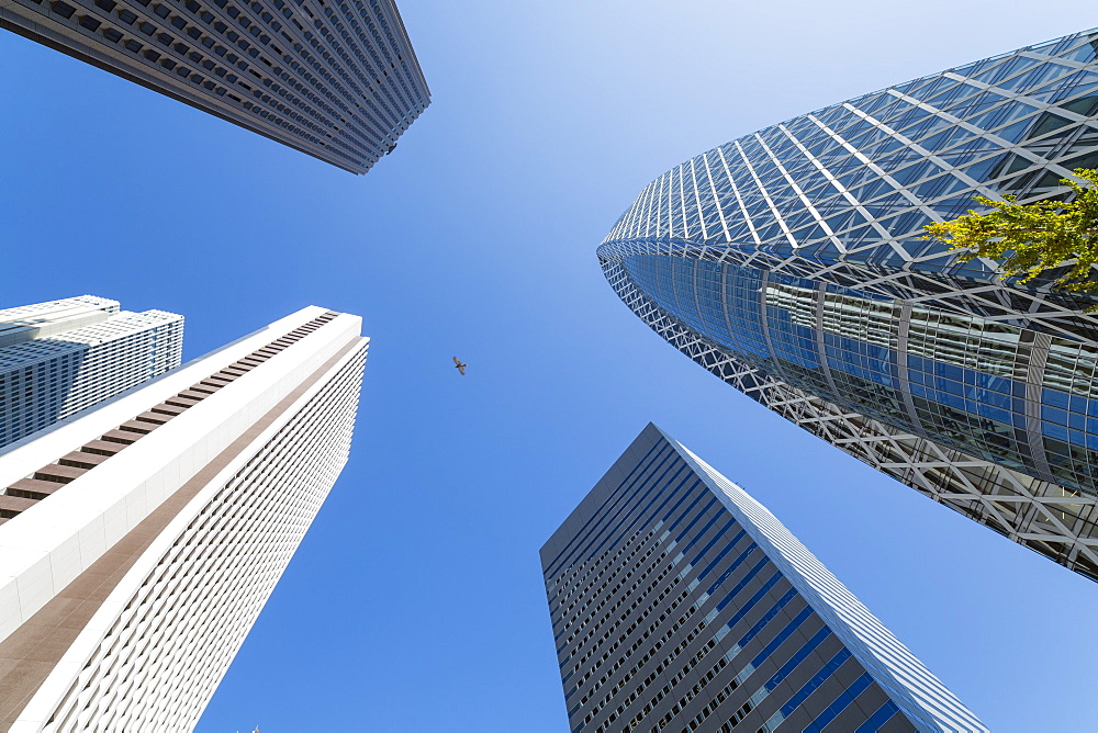 Skyscrapers in Shinjuku district, Tokyo, Japan, Asia