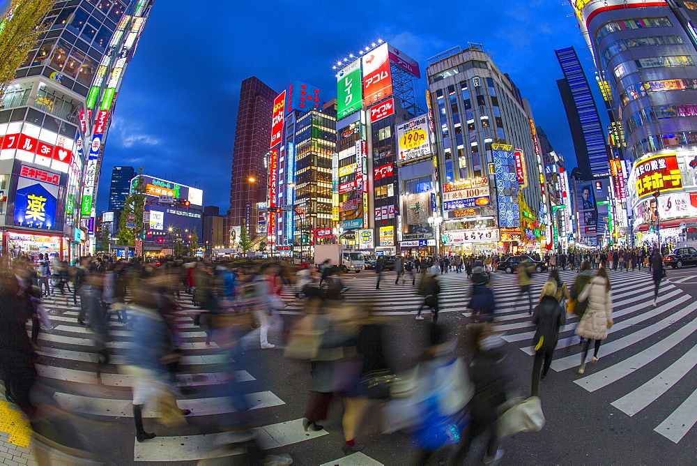 Kabukicho entertainment district illuminated at dusk, Shinjuku, Tokyo, Japan, Asia