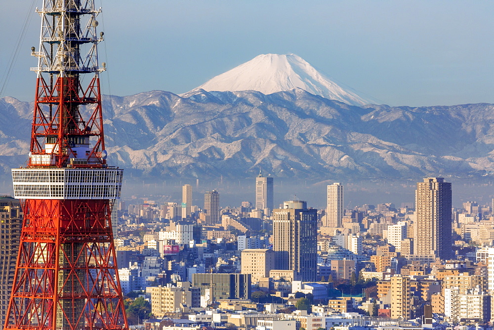 Elevated night view of the city skyline and iconic Tokyo Tower, Tokyo, Japan, Asia